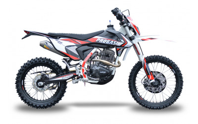 PROGASI IBIZA 300