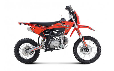PROGASI SMART 125
