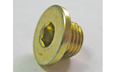 Болт - пробка с вн.шестигр. M14х1.5х10мм, сталь